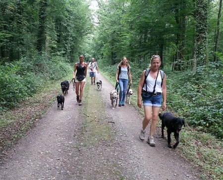 Tolle Wanderung!