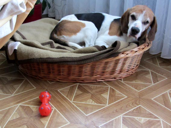 Unser Zen(ior) :-)
