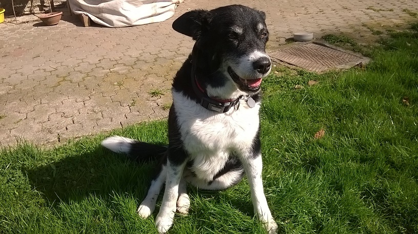 Schnappschuss von Susi!