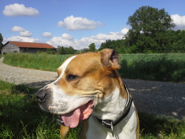 Post vom „kleinen Mann“ Arthur!