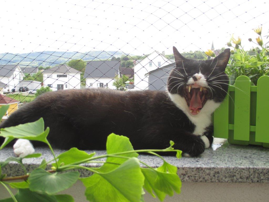 Claudio hat Bilder geschickt!