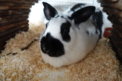 Daisy – Emotionale Erpressung