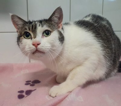 Einstein – gefunden