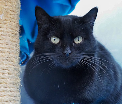 Kessy – Time to trust