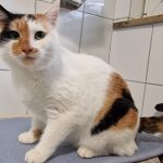 1f2e0507-456a-44f4-a185-c79b89c9b819